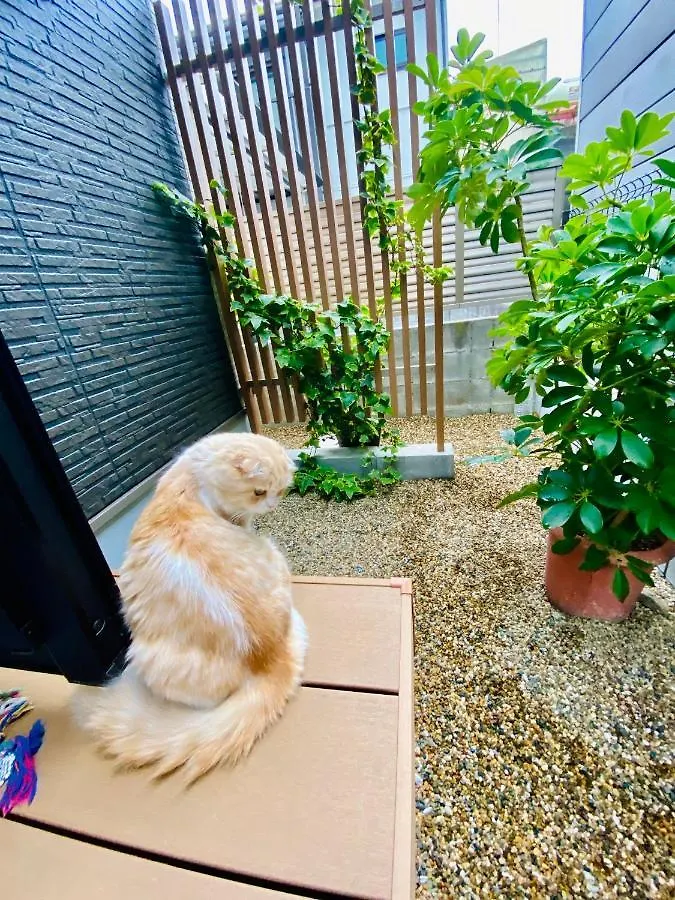 Hotel 遥華-Haruka House à Kyoto 0*,