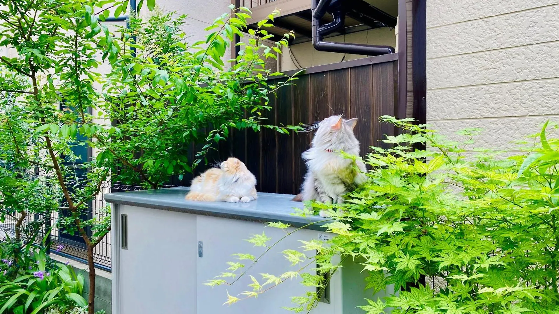 Hotel 遥華-Haruka House à Kyoto Japon