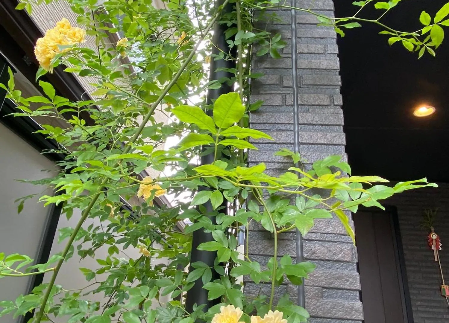 Maison d'hôtes Hotel 遥華-Haruka House à Kyoto