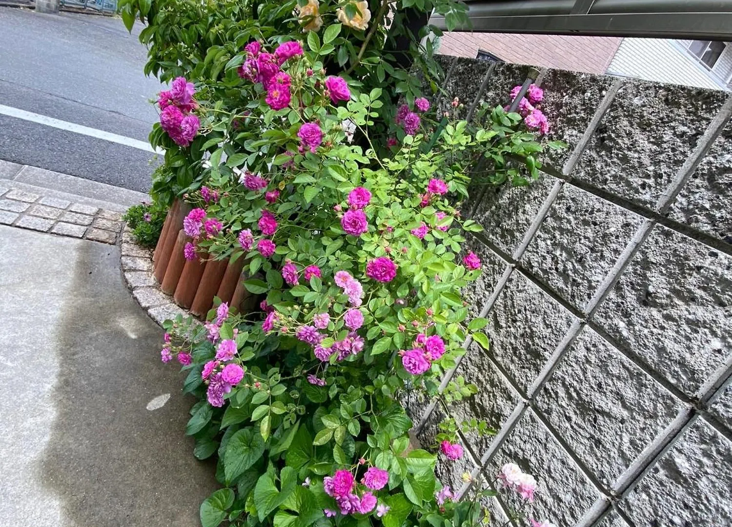 Hotel 遥華-Haruka House à Kyoto Maison d'hôtes